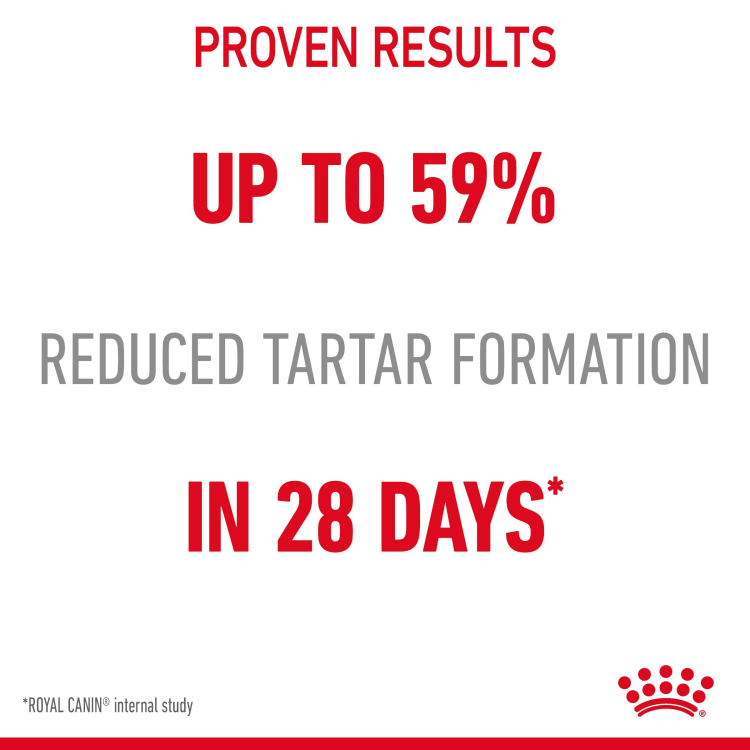 Feline Care Nutrition Dental Care 400 g