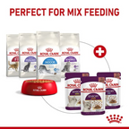 Royal Canin Feline Health Nutrition Sensory Feel Gravy Cat Wet Food 85G - Pack of 12