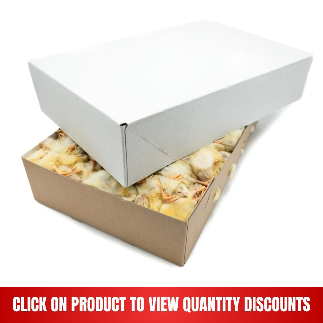 Frozen Day Old Chicks Standard 10 kg box