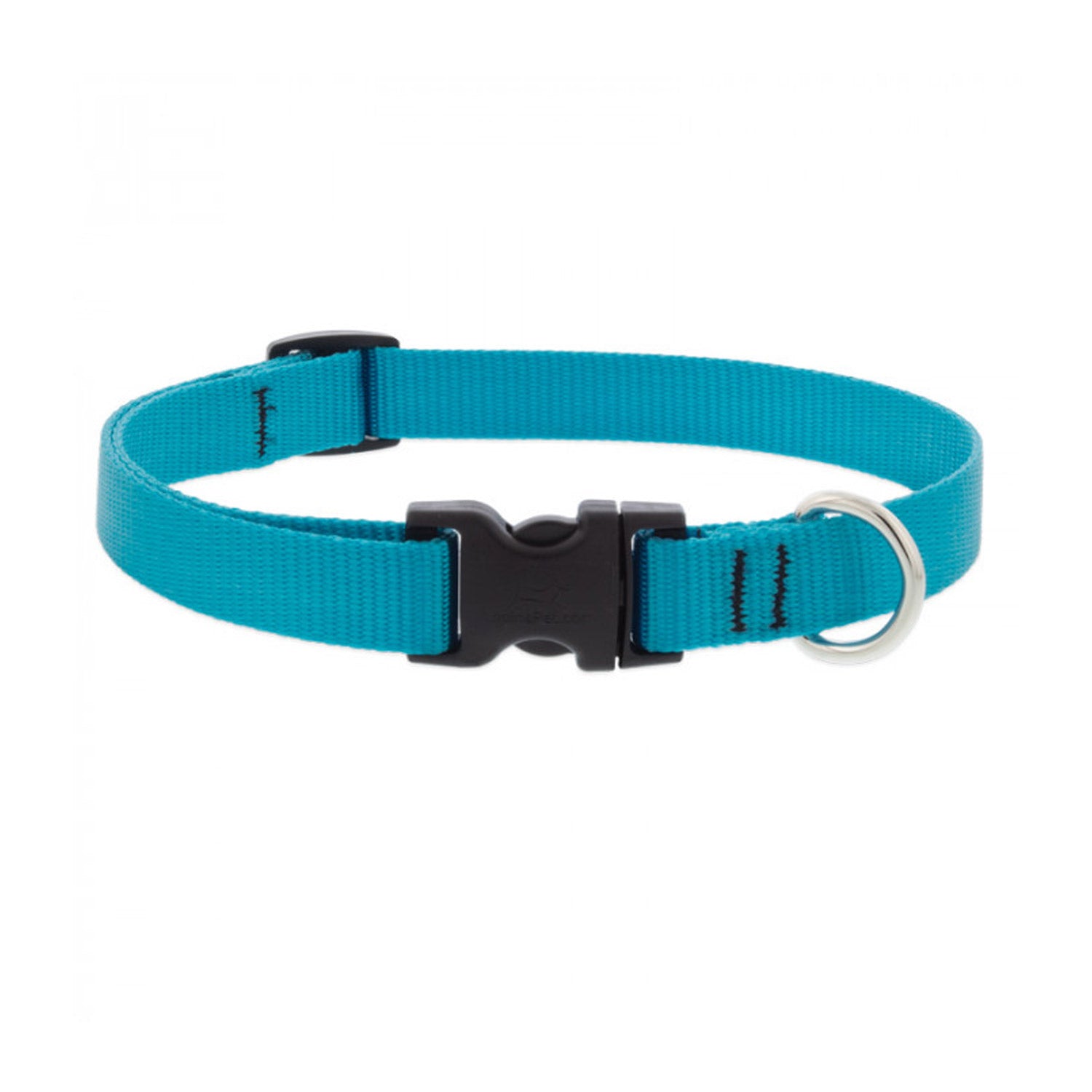 BASICS Adjustable Collar AQUA 3/4″ FOR MEDIUM DOGS — 15"-25"