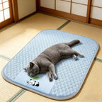 Coco Kindi Premium Pet Cooling Mat for pets 75 × 60 cm (Blue)