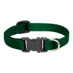 BASICS Adjustable Collar GREEN 3/4Inch FOR MEDIUM DOGS