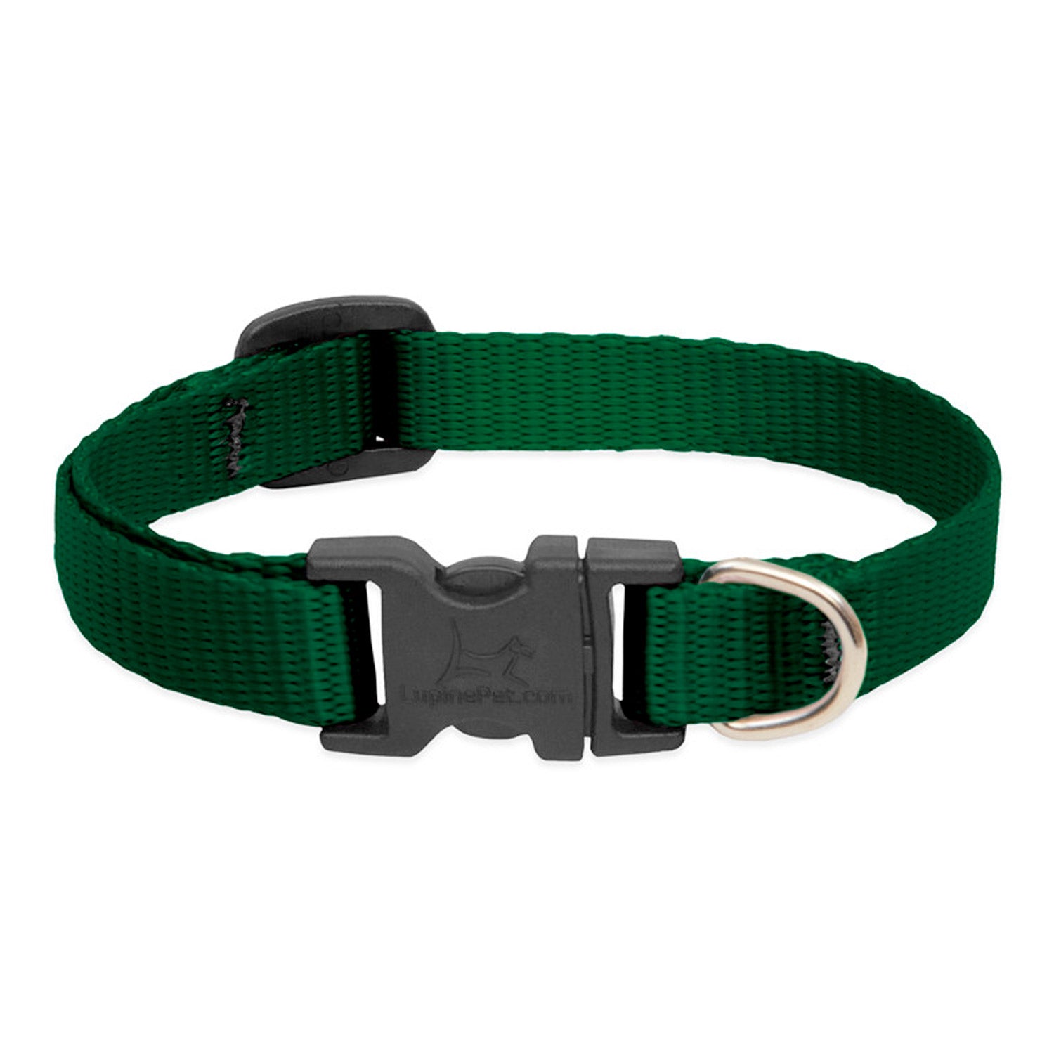 BASICS Adjustable Collar GREEN 1/2″ FOR SMALL DOGS — 10"-16"