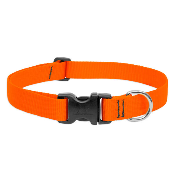 BASICS Adjustable Collar ORANGE 1Inch FOR BIG DOGS
