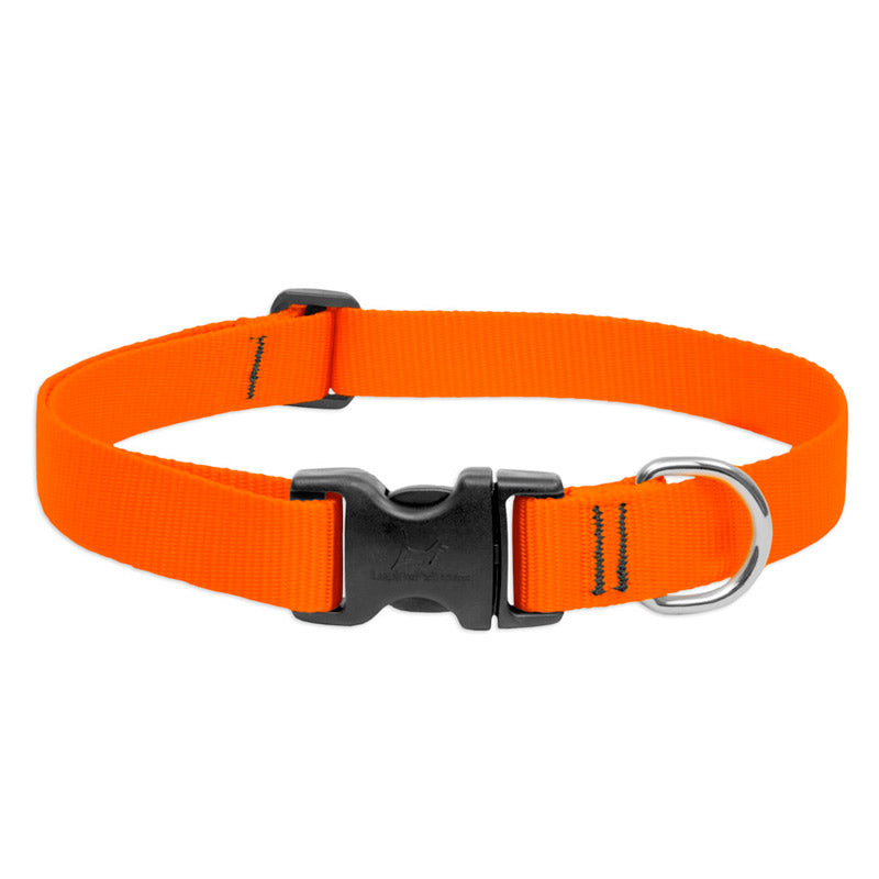 BASICS Adjustable Collar ORANGE 1″ FOR BIG DOGS — 12"-20"