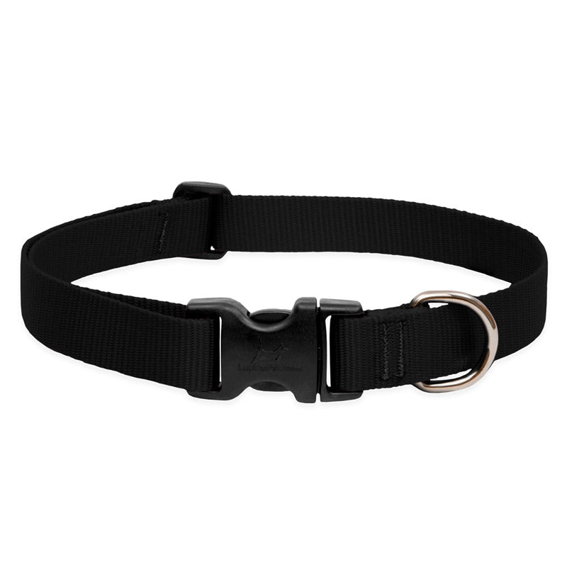 BASICS Adjustable Collar BLACK 1/2″ FOR SMALL DOGS — 10"-16"