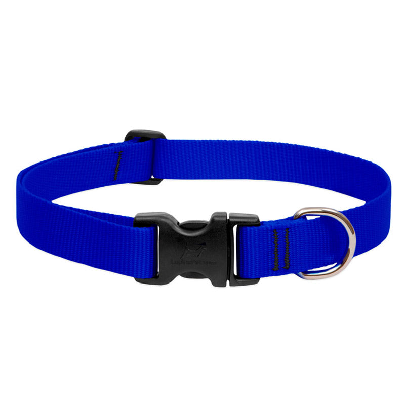 BASICS Adjustable Collar BLUE 1/2″ FOR SMALL DOGS — 10"-16"