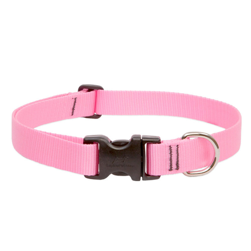 BASICS Adjustable Collar PINK 1/2″ FOR SMALL DOGS — 10"-16"