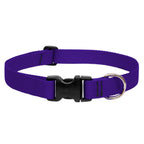 BASICS Adjustable Collar PURPLE 3/4Inch FOR MEDIUM DOGS