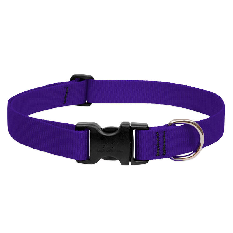 BASICS Adjustable Collar PURPLE 3/4″ FOR MEDIUM DOGS — 15"-25"
