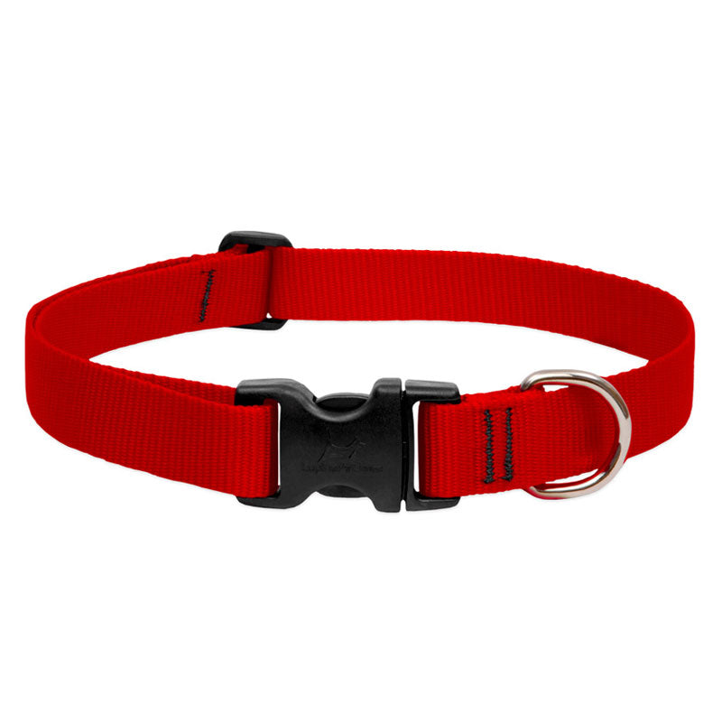 BASICS Adjustable Collar RED 3/4″ FOR MEDIUM DOGS — 15"-25"