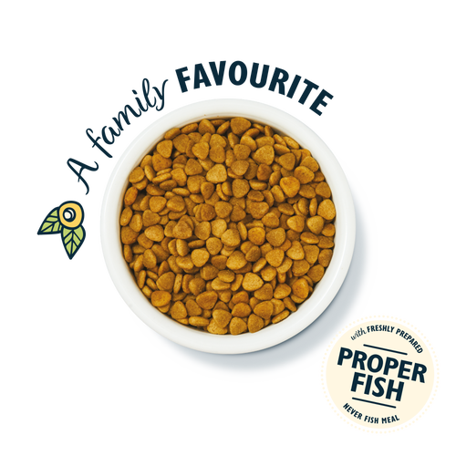 Lily's Kitchen Fisherman's Feast White Fish & Salmon Dry Cat Food
