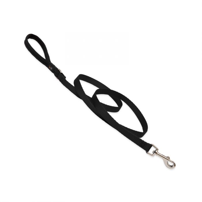Basic Solids Padded Handle Dog Leash 4ft