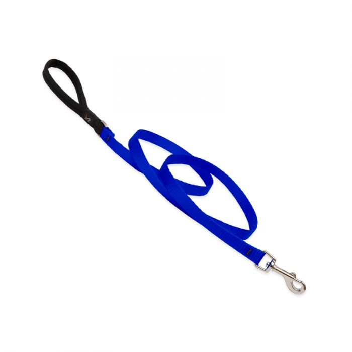 Basic Solids Padded Handle Dog Leash 4ft