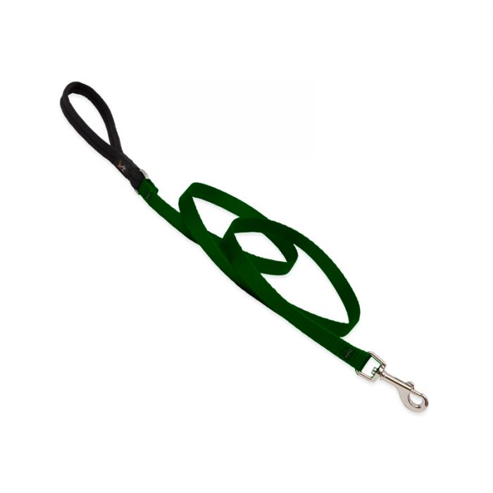 Basic Solids Padded Handle Dog Leash 4ft
