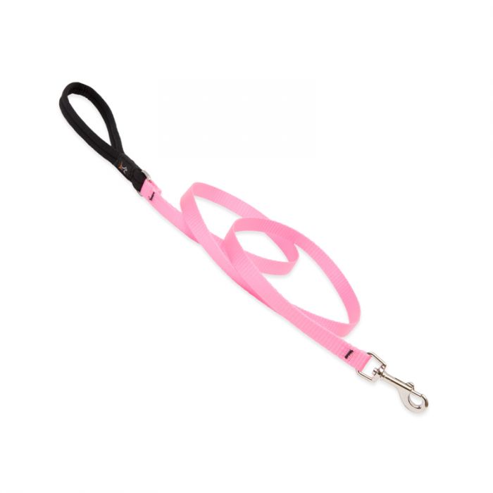 Basic Solids Padded Handle Dog Leash 4ft