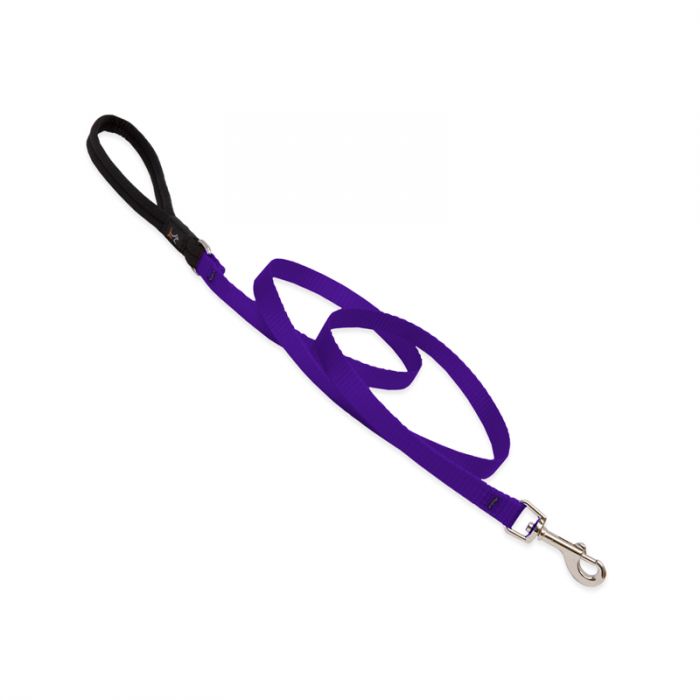 Basic Solids Padded Handle Dog Leash 4ft