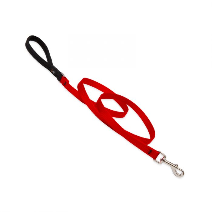 Basic Solids Padded Handle Dog Leash 4ft