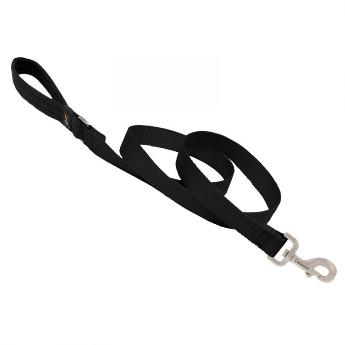 Basic Solids Padded Handle Dog Leash 4ft