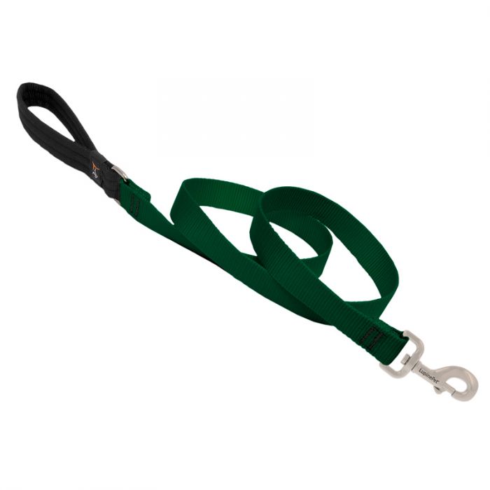 Basic Solids Padded Handle Dog Leash 4ft