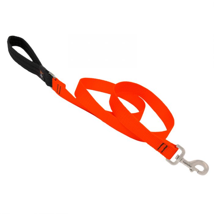Basic Solids Padded Handle Dog Leash 4ft