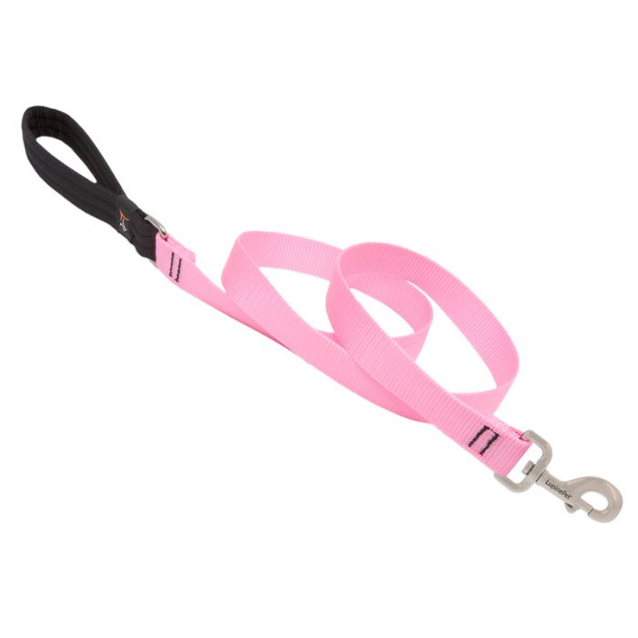 Basic Solids Padded Handle Dog Leash 4ft