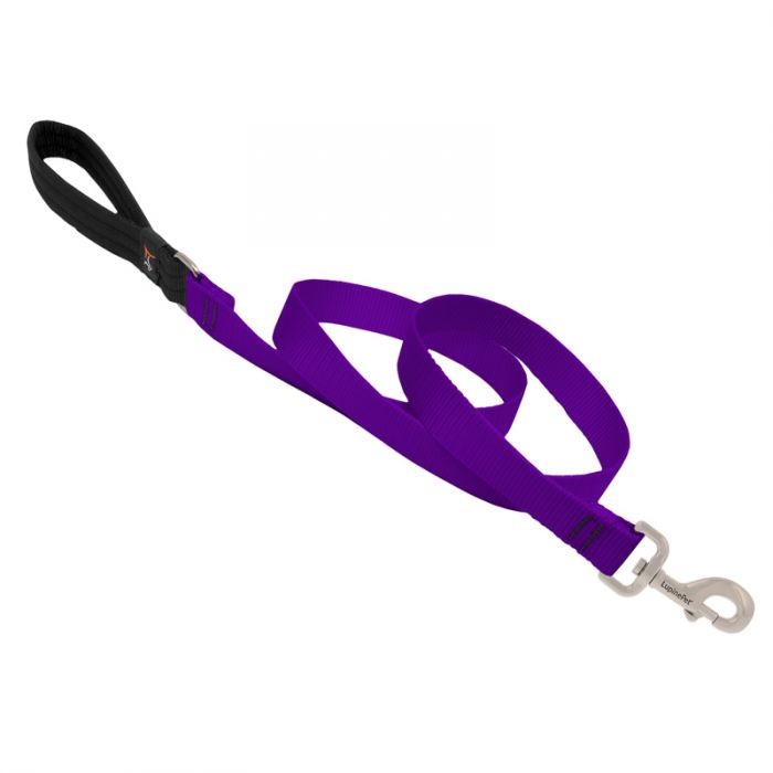 Basic Solids Padded Handle Dog Leash 4ft