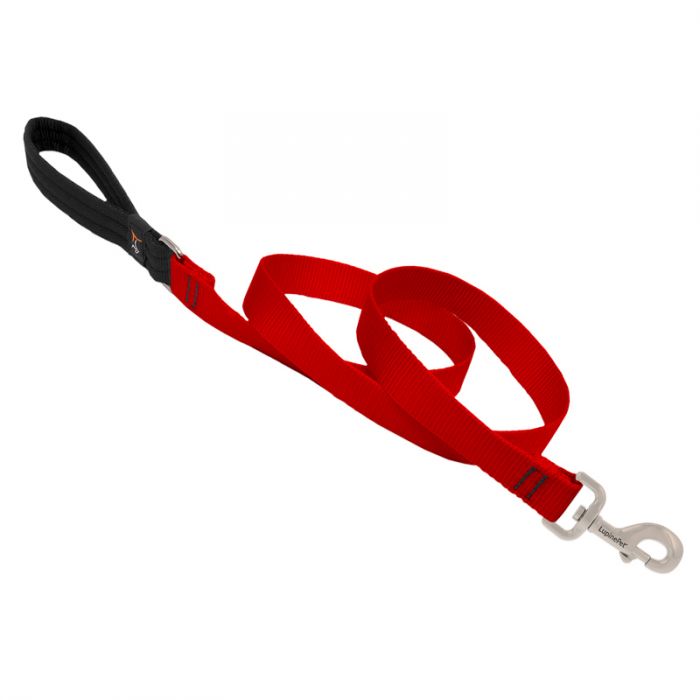Basic Solids Padded Handle Dog Leash 4ft