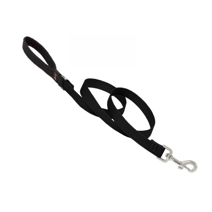 Basic Solids Padded Handle Dog Leash 4ft