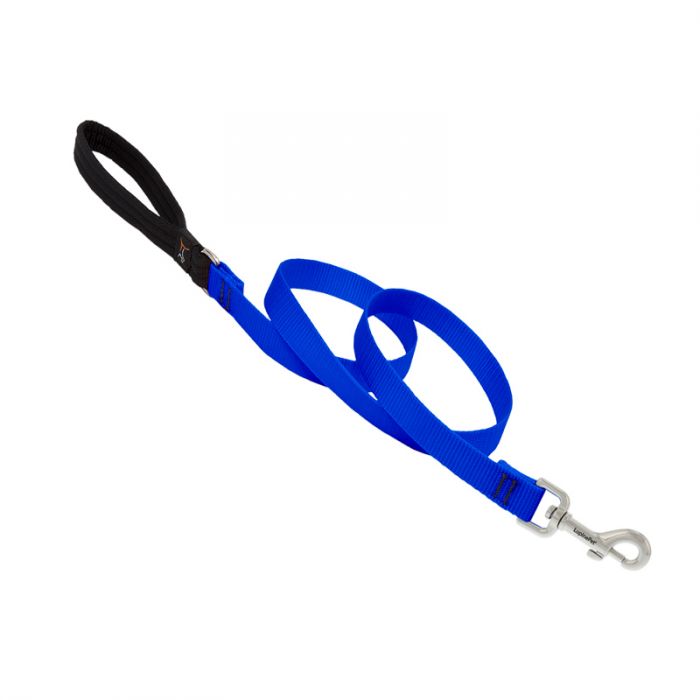 Basic Solids Padded Handle Dog Leash 4ft