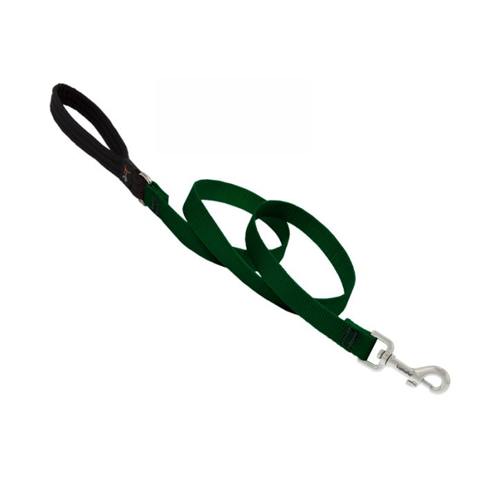 Basic Solids Padded Handle Dog Leash 4ft