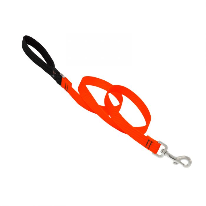 Basic Solids Padded Handle Dog Leash 4ft