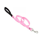 Basic Solids Padded Handle Dog Leash 4ft