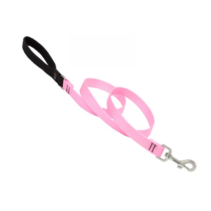 Basic Solids Padded Handle Dog Leash 4ft