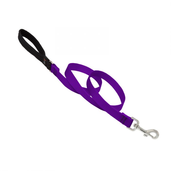 Basic Solids Padded Handle Dog Leash 4ft