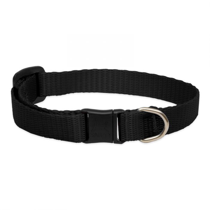 Basic Solids Safety Cat Collar