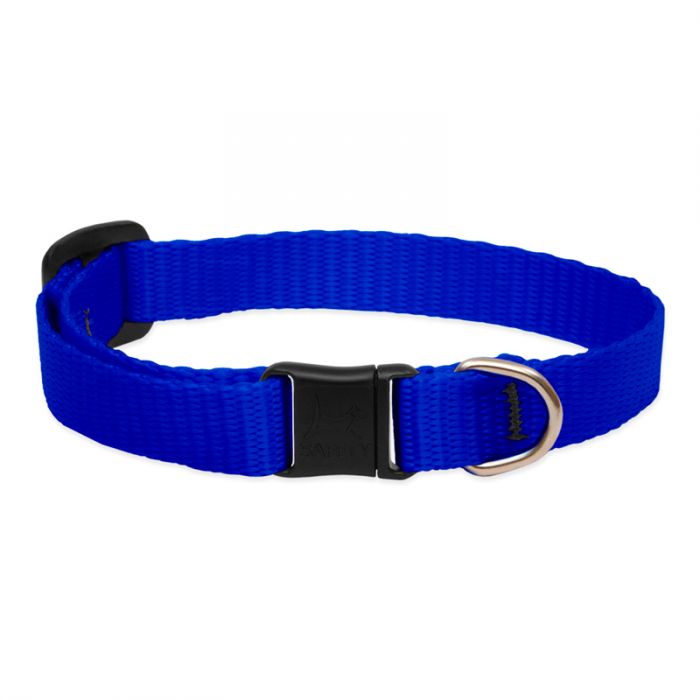 Basic Solids Safety Cat Collar