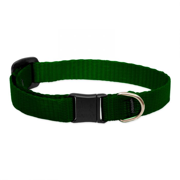 Basic Solids Safety Cat Collar