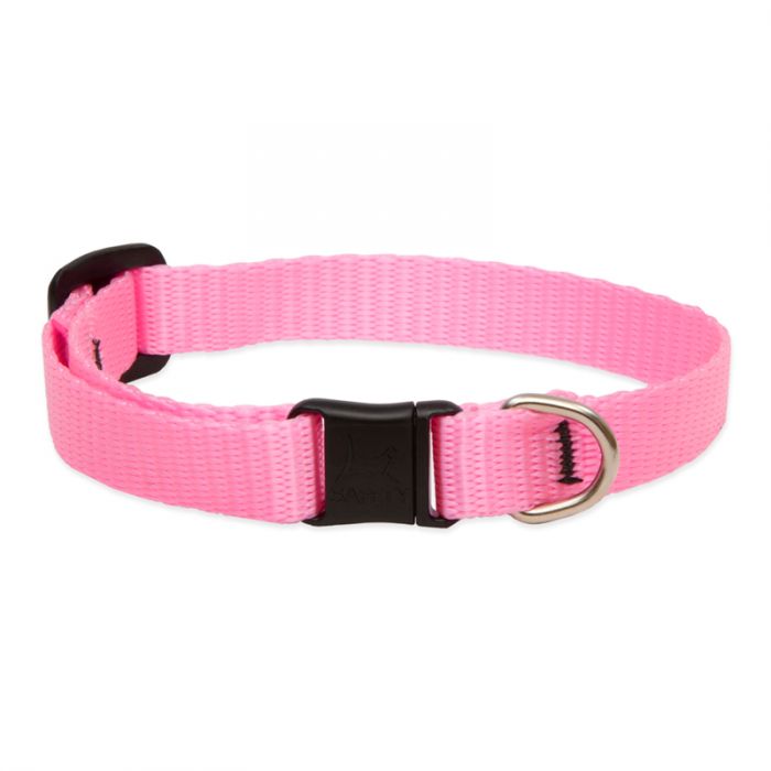Basic Solids Safety Cat Collar