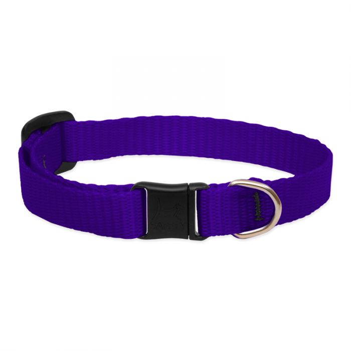 Basic Solids Safety Cat Collar