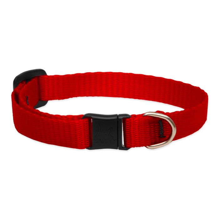 Basic Solids Safety Cat Collar