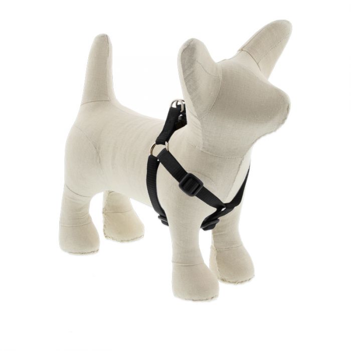 Small Dog Basics Step In Harness 1/2Inch