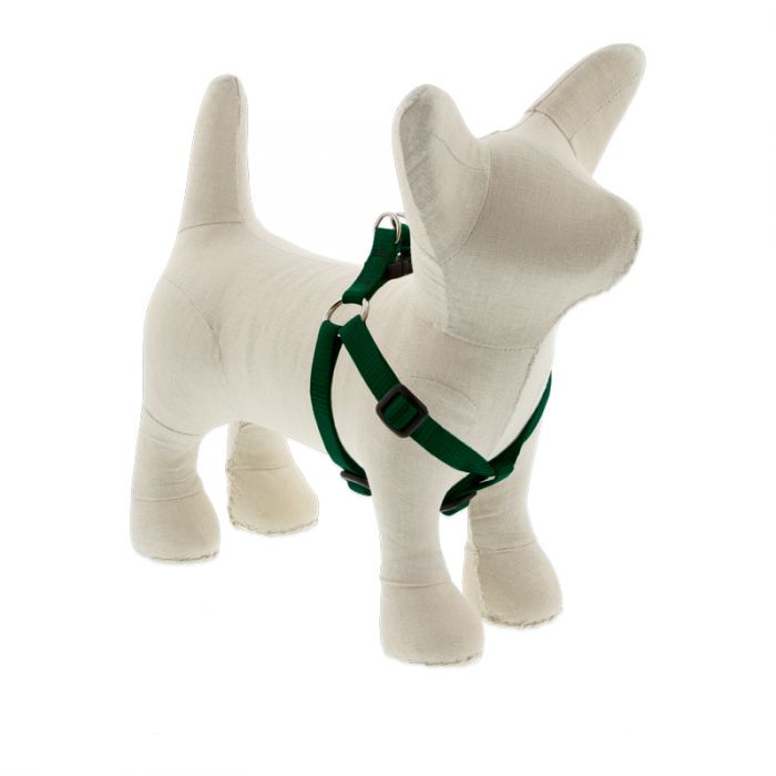 Small Dog Basics Step In Harness 1/2Inch