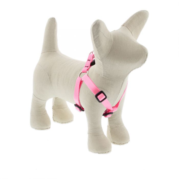 Small Dog Basics Step In Harness 1/2Inch