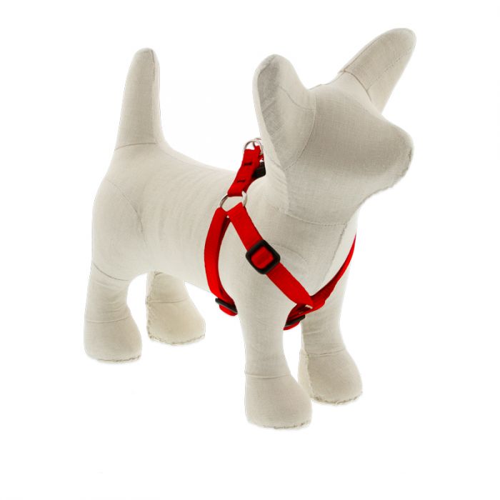 Small Dog Basics Step In Harness 1/2Inch