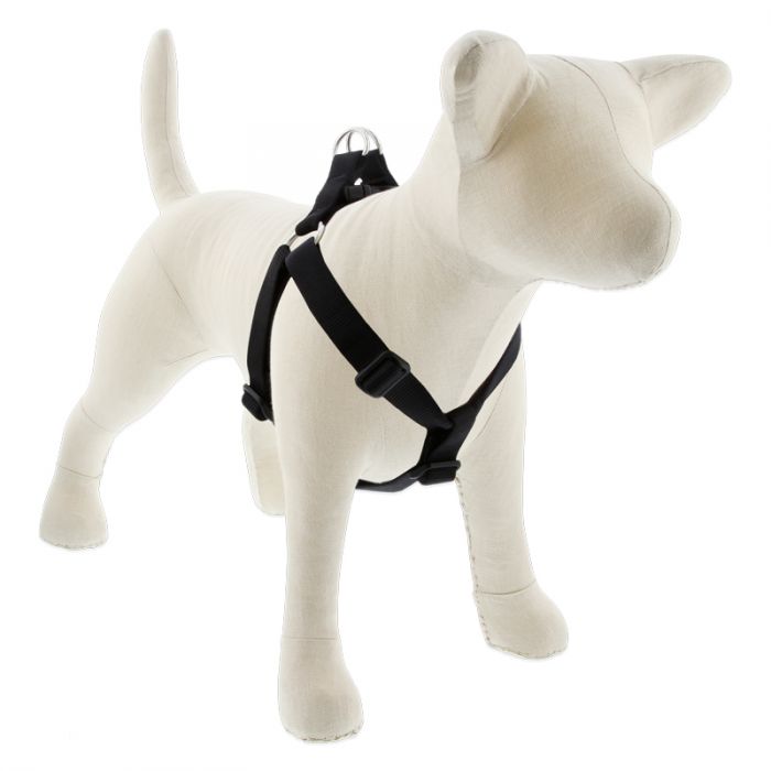 Large Dog Basics Step In Harness 1Inch