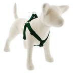 Large Dog Basics Step In Harness 1Inch