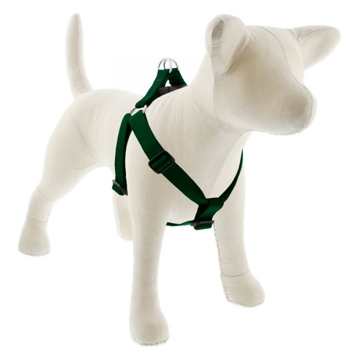 Large Dog Basics Step In Harness 1Inch