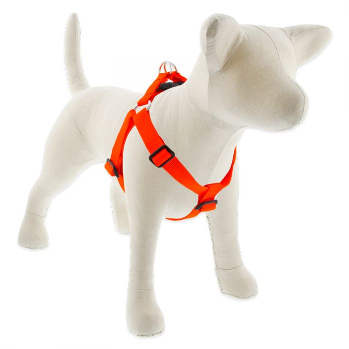 Large Dog Basics Step In Harness 1″ — orange / 19"-28"