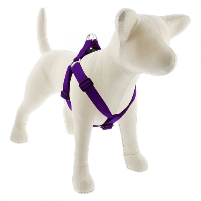 Large Dog Basics Step In Harness 1″ — purple / 24″-38″